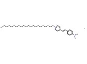 4-[4-(<span class='lighter'>二</span>甲氨基)<span class='lighter'>苯乙烯基</span>]-1-二十二<span class='lighter'>基</span>溴化吡啶