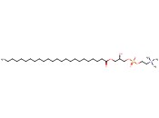 1-LIGNOCEROYL-2-HYDROXY-SN-GLYCERO-3-PHOSPHOCHOLINE