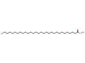 蜂花<span class='lighter'>酸</span><span class='lighter'>甲</span><span class='lighter'>酯</span>