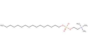 <span class='lighter'>HEXADECYL</span> <span class='lighter'>PHOSPHORYLCHOLINE</span>