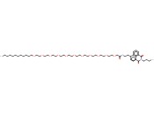 N-[2-(2-BUTYL-1,3-DIOXO-2,3-DIHYDRO-1H-BENZO[DE]ISOQUINOLIN-6-YLAMINO)ETHYL]-2-(2-[2-[2-(2-(2-(2-(2-[2-[2-(2-DODECYLOXYETHOXY)ETHOXY]ETHOXY]ETHOXY)ETHOXY)ETHOXY)ETHOXY)ETHOXY]ETHOXY]ETHOXY)ACETAMIDE