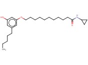CB-25