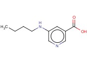 3-PYRIDINECARBOXYLIC ACID, 5-(BUTYLAMINO)-