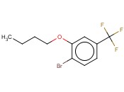 1-BROMO-2-BUTOXY-4-(TRIFLUOROMETHYL)BENZENE