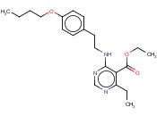 ETHYL 4-[2-(4-BUTOXYPHENYL)ETHYLAMINO]-6-ETHYLPYRIMIDINE-5-CARBOXYLATE