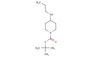 <span class='lighter'>1-BOC-4-PROPYLAMINOPIPERIDINE</span>