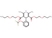 CEREBROCRAST