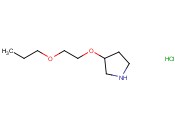 3-(2-PROPOXYETHOXY)PYRROLIDINE HYDROCHLORIDE
