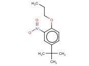 对<span class='lighter'>叔</span><span class='lighter'>丁基</span>邻<span class='lighter'>硝基苯</span>丙醚