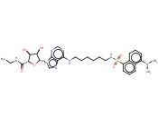 1-脱氧-1-[6-[[6-[[[5-(二<span class='lighter'>甲</span>氨基)-1-萘<span class='lighter'>基</span>]<span class='lighter'>磺</span><span class='lighter'>酰</span><span class='lighter'>基</span>]氨基]己<span class='lighter'>基</span>]氨基]-9H-嘌呤-9-<span class='lighter'>基</span>]-N-乙基-β-D-ribofuranuronamide
