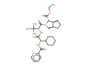 FRAGMENTA CYC137