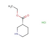 ETHYL(3R)-<span class='lighter'>PIPERIDINE</span>-3-CARBOXYLATE