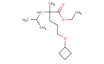ETHYL 5-CYCLOBUTOXY-2-METHYL-2-[(PROPAN-2-YL)AMINO]PENTANOATE