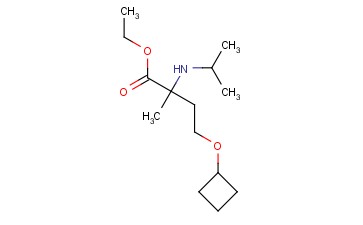 ETHYL 4-CYCLOBUTOXY-2-METHYL-2-[(PROPAN-2-YL)AMINO]BUTANOATE