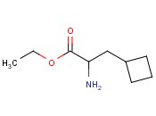 ETHYL <span class='lighter'>2-AMINO-3-CYCLOBUTYLPROPANOATE</span>