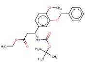 (R)-M-BENZYLOXY-O-METHYL-BETA-TYROSINE
