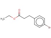 对<span class='lighter'>溴</span>苯丙酸<span class='lighter'>乙</span><span class='lighter'>酯</span>