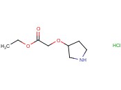 ETHYL 2-(PYRROLIDIN-3-YLOXY)ACETATE HYDROCHLORIDE