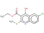 BUTTPARK 93\<span class='lighter'>04</span>-06