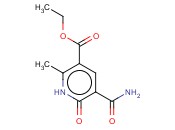 BUTTPARK 17\<span class='lighter'>04</span>-63