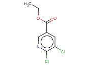 5,6-二氯<span class='lighter'>烟酸</span><span class='lighter'>乙</span><span class='lighter'>酯</span>