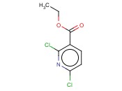 2,6-DICHLORONICOTINIC ACID ETHYL ESTER