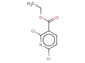 Ethyl 2,6-dichloronicotinate