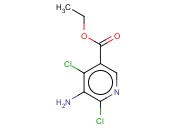 ETHYL <span class='lighter'>5-AMINO-4,6-DICHLORONICOTINATE</span>