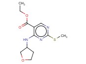 ETHYL 2-METHYLSULFANYL-4-(OXOLAN-3-YLAMINO)PYRIMIDINE-5-CARBOXYLATE