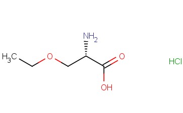 O-<span class='lighter'>乙</span>氧基-<span class='lighter'>L-</span>丝<span class='lighter'>氨酸盐酸盐</span>