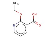 2-乙氧基<span class='lighter'>烟酸</span>