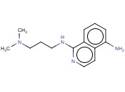 1-N-[3-(DIMETHYLAMINO)PROPYL]ISOQUINOLINE-1,5-DIAMINE