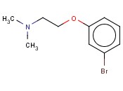 2-(3-BROMOPHENOXY)-N,N-DIMETHYLETHANAMINE