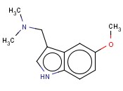 5-<span class='lighter'>甲</span><span class='lighter'>氧基</span>芦竹碱