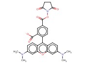 5-CARBOXYTETRAMETHYLRHODAMINE SUCCINIMIDYL ESTER