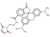 TETRAMETHYL RHODAMINE-6-C2-MALEIMIDE