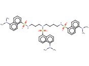 DANSYLSPERMIDINE