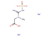 CREATINE PHOSPHATE DISODIUM SALT