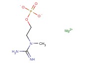 CREATINOL O-PHOSPHATE MAGNESIUM