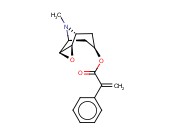 <span class='lighter'>东</span>茛菪碱