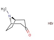 TROPINONE <span class='lighter'>HYDROBROMIDE</span>