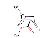 1R-2-BETA-CARBOMETHOXY-3-TROPINONE