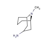 9-METHYL-9-<span class='lighter'>AZABICYCLO</span>[<span class='lighter'>3.3.1</span>]<span class='lighter'>NONAN-3-AMINE</span>