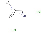 8-METHYL-3,8-DIAZA-BICYCLO[3.2.1]OCTANE DIHYDROCHLORIDE