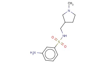 3-AMINO-N-[(1-METHYLPYRROLIDIN-3-YL)METHYL]BENZENE-1-SULFONAMIDE