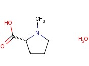 N-甲基-<span class='lighter'>D-</span>脯<span class='lighter'>氨酸</span>一水合物