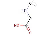 <span class='lighter'>SARCOSINE</span>