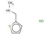 <span class='lighter'>N-</span><span class='lighter'>甲基</span>-2-噻吩<span class='lighter'>甲</span>胺盐酸盐