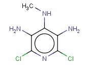 2,6-DICHLORO-4-N-METHYLPYRIDINE-3,4,5-TRIAMINE