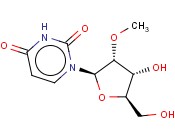 2'-甲氧基尿苷